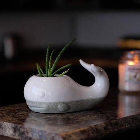 Coastal Lookout Suites 科纳布鲁克 外观 照片